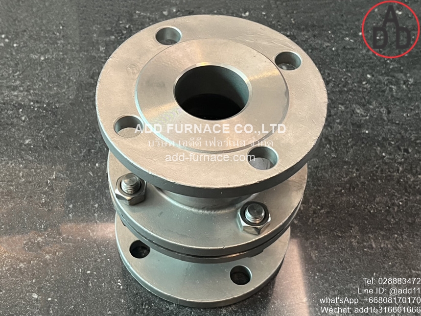 Arrester Fire Back Valve Flange DN50(10)